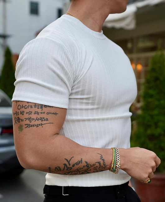 Sporty Plain Crew Neck Short Sleeve Slim Fit Pit Strip Shirt